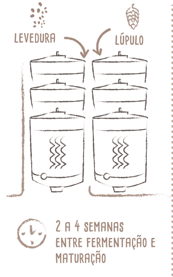 Fermentação & Maturação