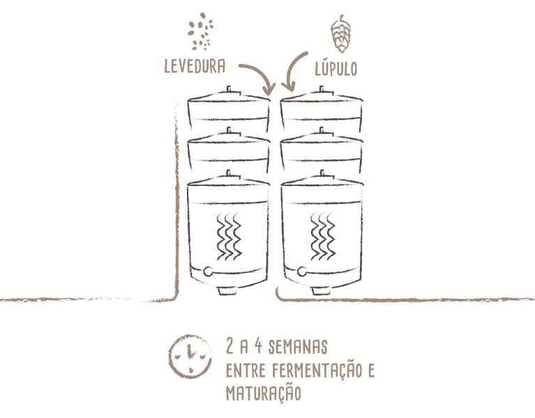 Fermentação & Maturação