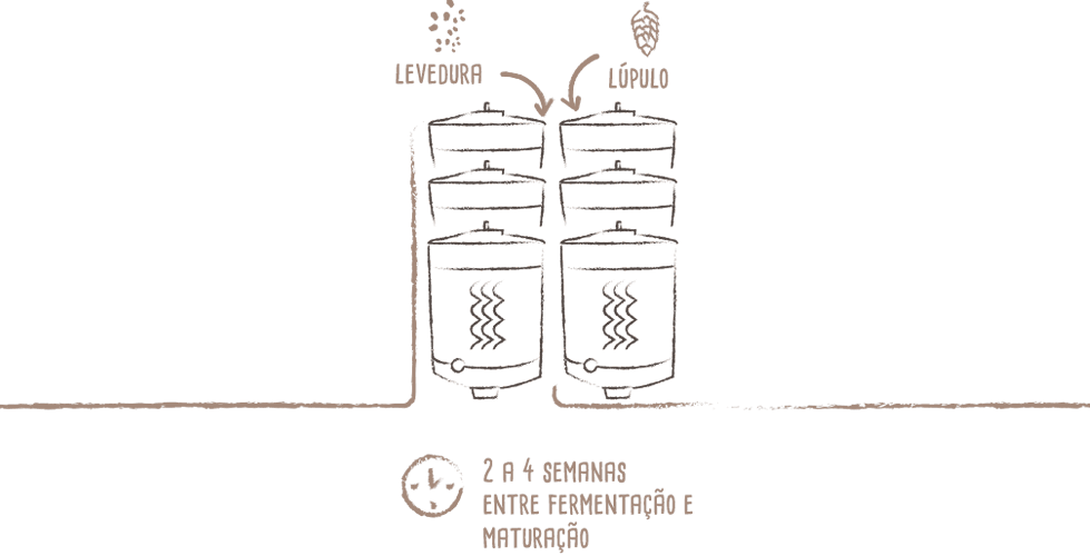 Fermentação & Maturação